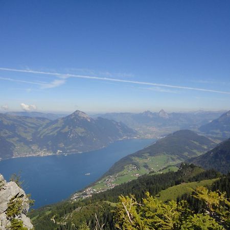 Hotel Vitznauerhof - Lifestyle Hideaway At Lake Lucerne Eksteriør bilde